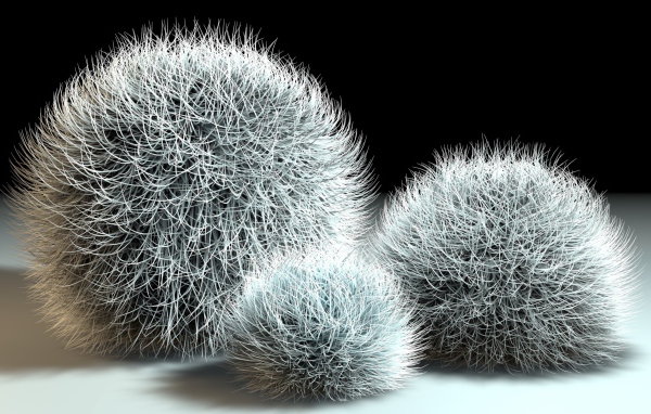 Шарики из мха