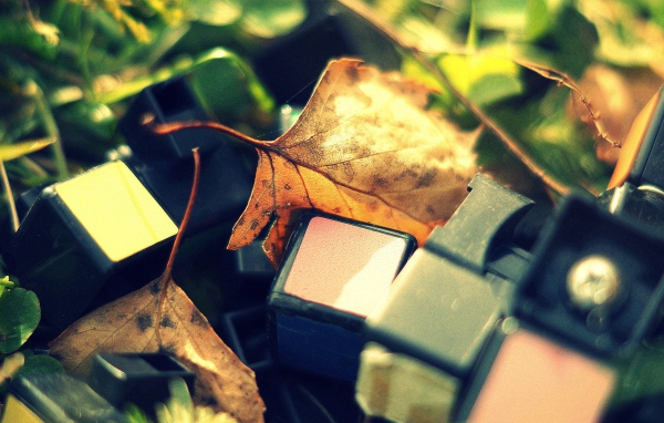 Обломки от кубика Рубика лежат среди листьев