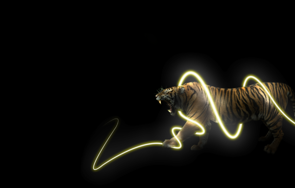 Тигр в энерго спирали