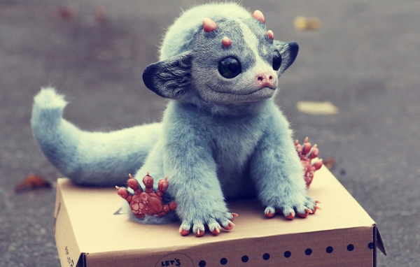 Игрушечный зверек на картонной коробке