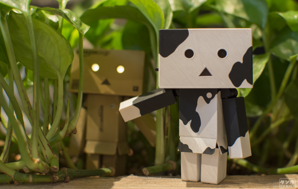 Два Дандо под листьями