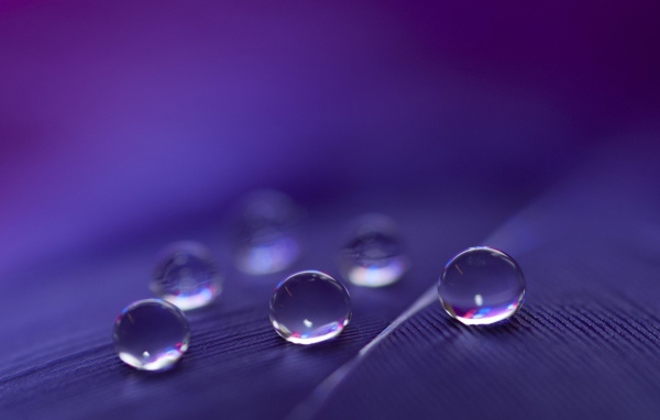 Капли воды расположились треугольником