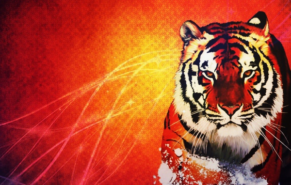 Orange tiger on an orange background