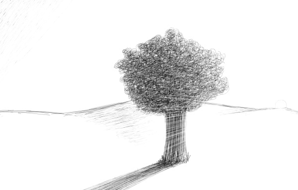 Tree in the desert, pencil drawing