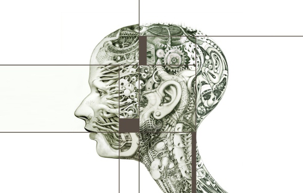 Шестеренки в голове человека