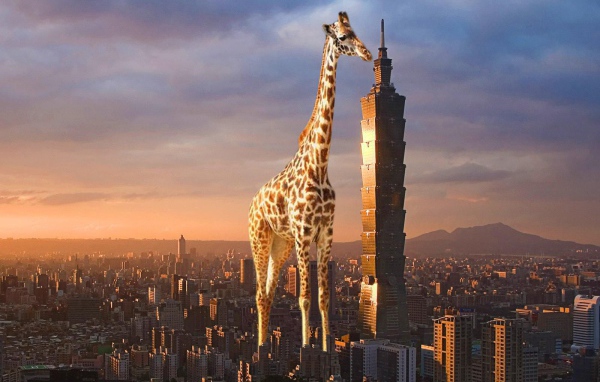 Жираф выше небоскреба