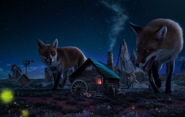 Огромные лисы в деревушке