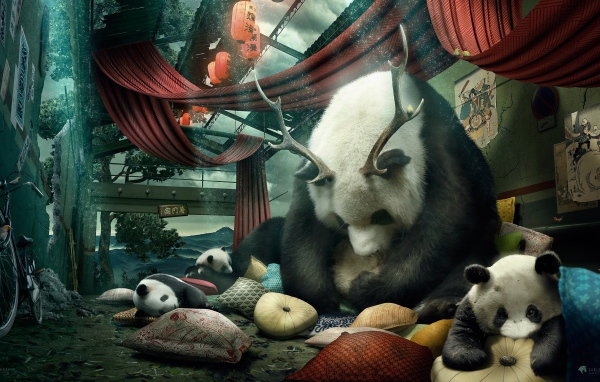 Мама панда с рогами