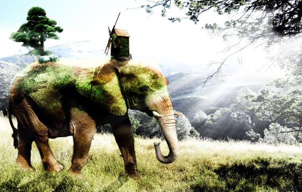 Покрытый мхом слон