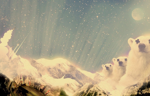 Полярные медведи горы