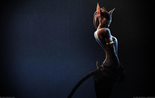 Девушка кошка, фэнтези