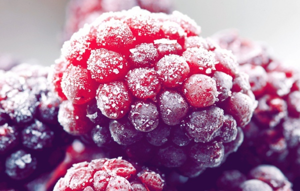 Иней на малине