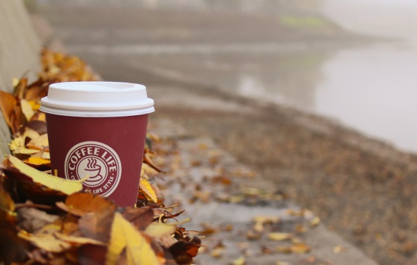 Стакан кофе из Старбакс среди листьев