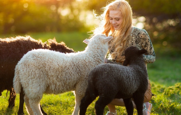 Девушка с ягнятами