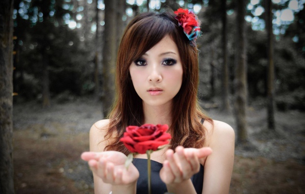 Роза парит в руках у девушки