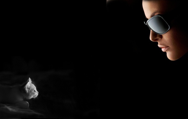 Девушка смотрит на котенка, черный фон