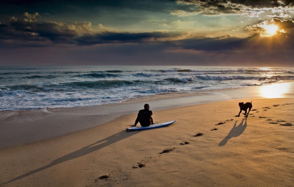 Серфер с собакой на пляже