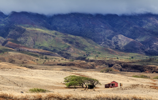 Домик у дерева в пустынной горной местности