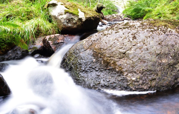 Ручей среди покрытых мхом камней