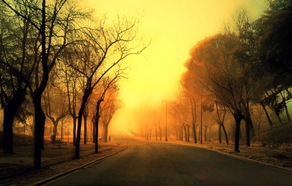 Дорога уходит в оранжевую дымку