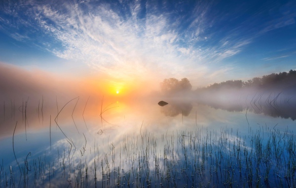 Желтое солнце в утреннем тумане