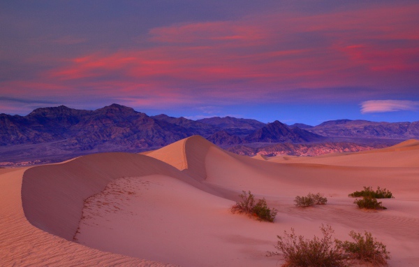 Пустыня розового цвета