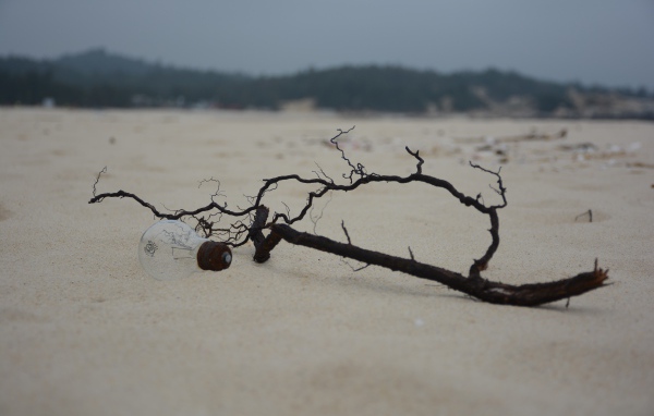 Черная ветка на белом песке