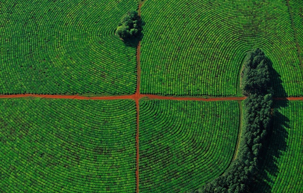 Красивое фото поля с высоты