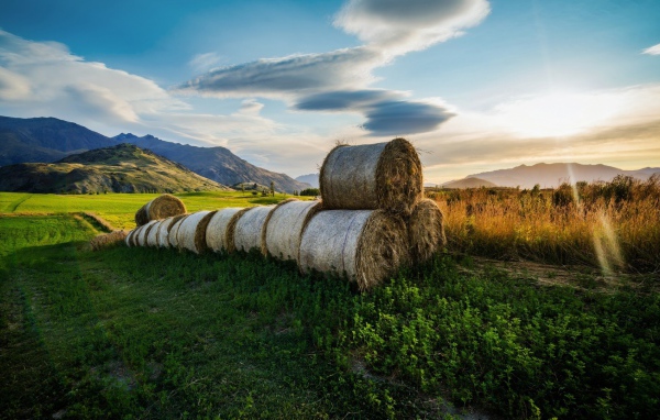 Тюки сена в поле, фото HDR
