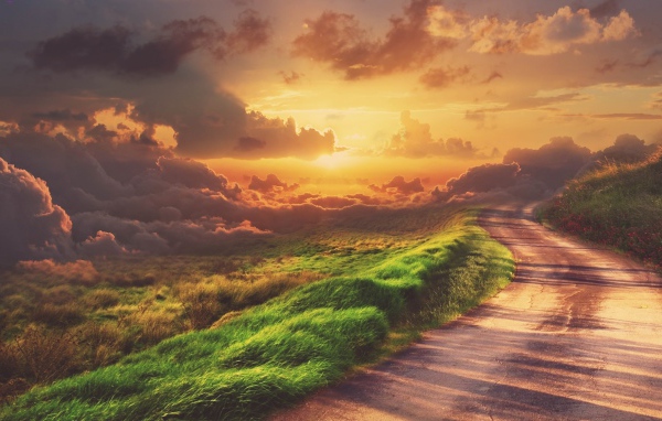 Зеленая трава у обочины дороги на закате