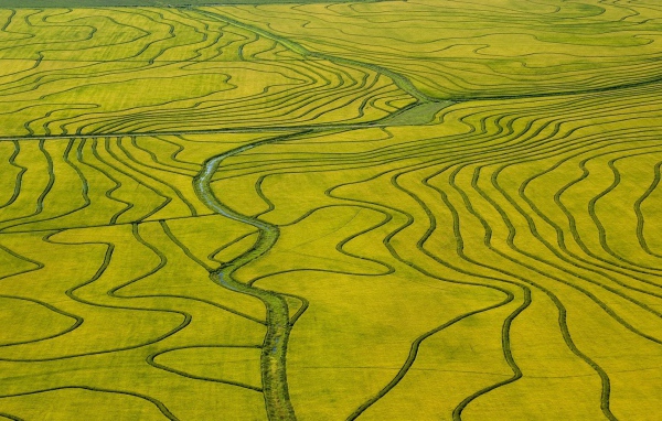 Оросительные каналы на поле необычной формы