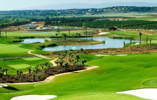 Роскошное поле в загородном гольф клубе