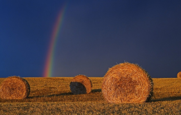Радуга позади убранного поля