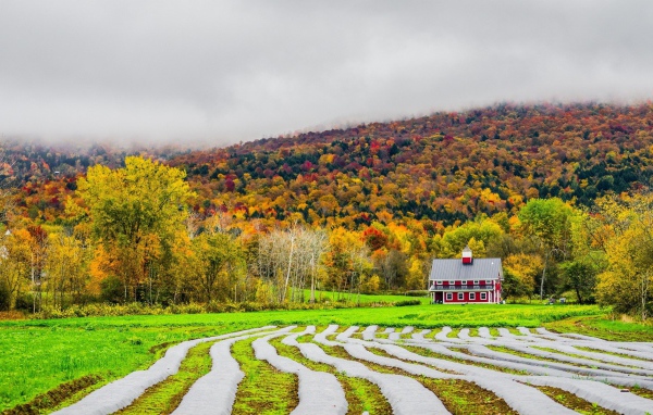 Ферма на фоне осеннего леса