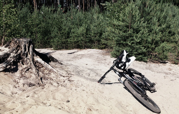 Велосипед у пенька среди леса