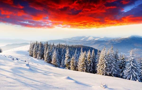 Горный лес под огненным небом