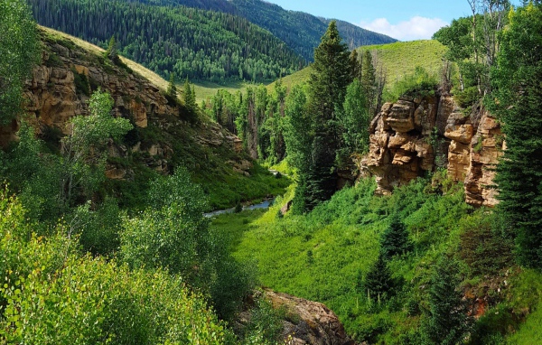 Каменные скалы среди поросших лесом холмов