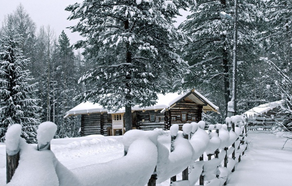 Деревянный дом в чаще зимнего леса