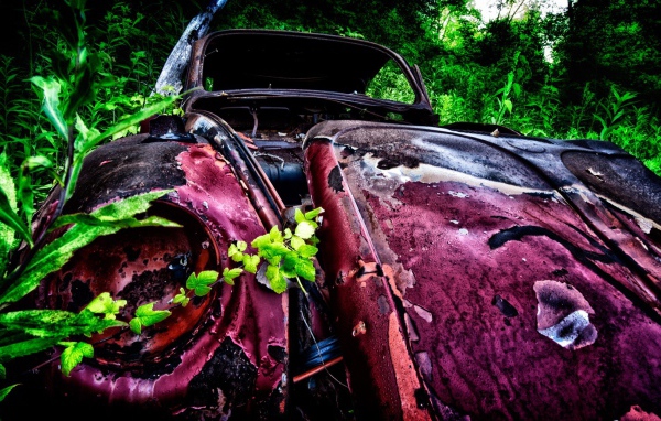 Remains pink car among thickets