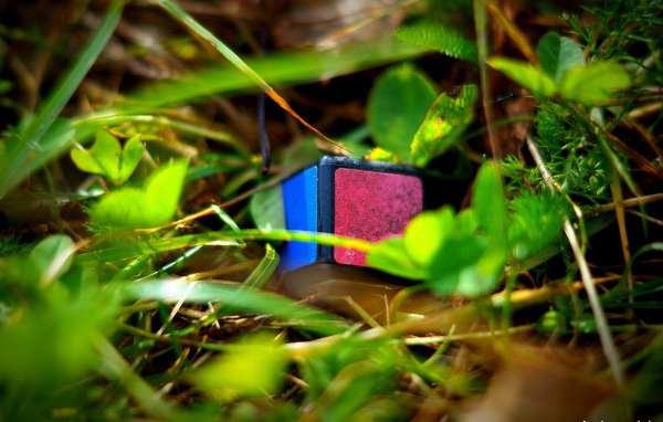 Rubik's Cube element lies in the grass