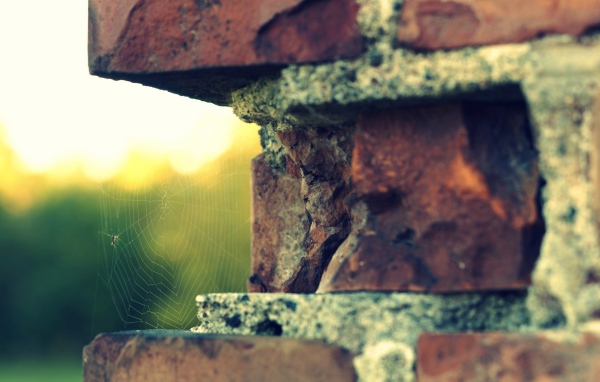 Паутина в выемке кирпичной кладки