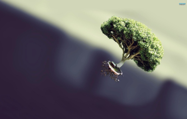 Летающее дерево на темном фоне