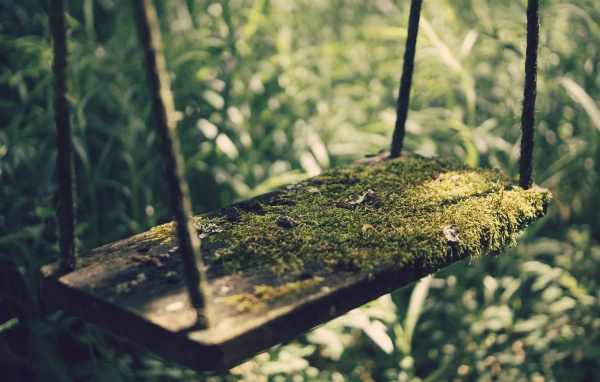 Мох на детских качелях