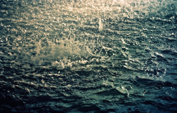 Дождь на озере