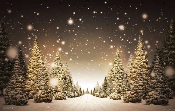 Снегопад в лесу на Новый год 2017