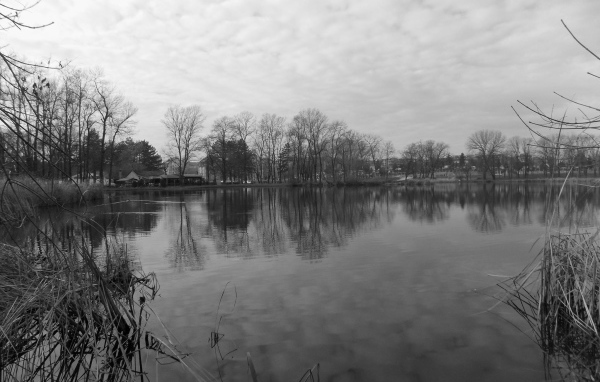 Черно белое фото озера в Сербии