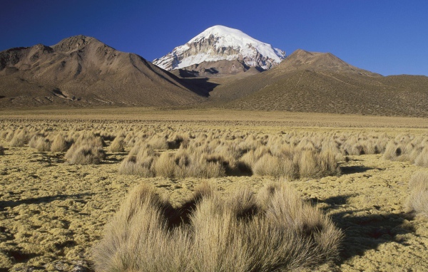 Сухое плоскогорье в Боливии