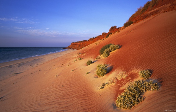 The sand on the beach in Australia