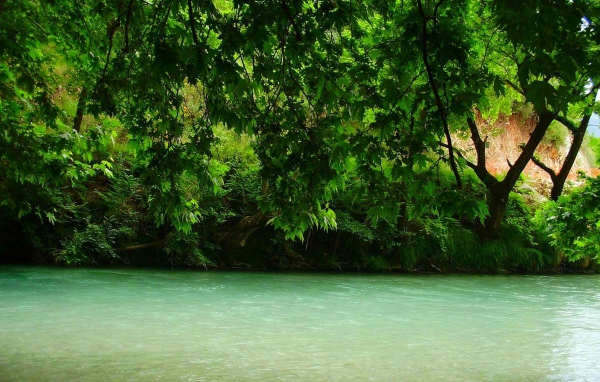 Зелень над рекой, Греция