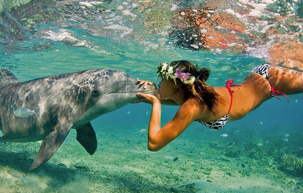 Девушка и дельфин под водой, Гавайи